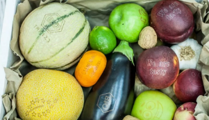 激光打標(biāo)“可食用標(biāo)簽”，引領(lǐng)食品安全新風(fēng)向